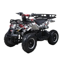Квадроцикл QMC Torino 49cc электростартер