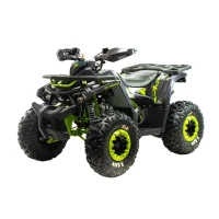 motoland-atv-wild-x-125