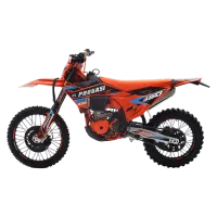 Мотоцикл эндуро PROGASI (Прогаси) Endurance 450 21/18