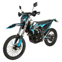 Мотоцикл Avantis Enduro 250 EFI Exclusive (PR250/172FMM-3A) ARS BB300 ПТС
