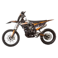 Мотоцикл Avantis Enduro 250 EFI CBS Exclusive (ZS172FMM-3A) ARS (2022) ПТС