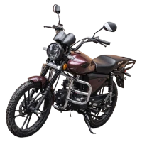 Мопед Racer RC50 Alpha Lux M2 110 (50) БЕЗ ПТС