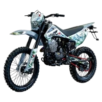 Эндуро мотоцикл кроссовый BNK H2 PR300