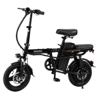 Электровелосипед SKIPER Flow (максимальная скорость не превышает 25 км/ч, 48v, 250W)