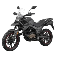 Мотоцикл турэндуро ROCKOT HOUND 3.0