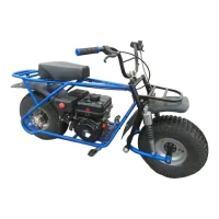 Мотоцикл ИЖ СКАУТ САФАРИ BIGFOOT