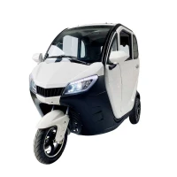 greencamel-trike-shtorm-60v-2200w-kabina