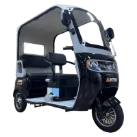 Электротрицикл с крышей SHTENLI Model 44