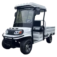 Гольфкар GreenCamel Сонора A2C 1500 (2+Cargo 1800W R10) пониженная