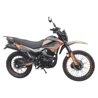 Мотоцикл Racer RC300-C2 Panther 21
