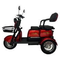 Трицикл GreenCamel Фродо X7 PRO V2 (60V20Ah 800W R10) дифференциал