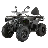 Квадроцикл YACOTA DRUID 250 (мотокомплект)