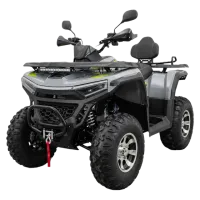 Квадроцикл Racer Shark 250 Улучшенная комплектация (250cc, лебёдка, фаркоп) (мотокомплект)