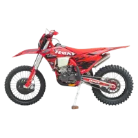 Мотоцикл Hasky F9 SPORT YBS300 NEW MSD (F9 YN)