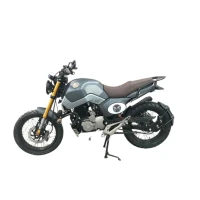 Мотоцикл Shineray STREET (Scrambler) 250cc XY250GY-6B