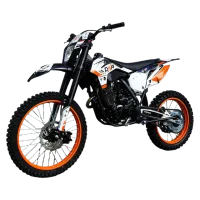 Мотоцикл SSSR DNA 300