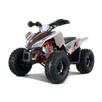 qmc-atv-sporty-125cc