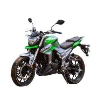 Мотоцикл Regulmoto T-Leopard 300