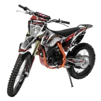 Мотоцикл Regulmoto ATHLETE 300cc 21/18