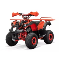 qmc-atv-toronto-rg7-125cc