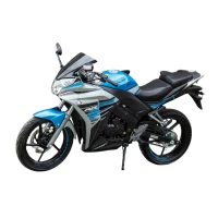 racer-skyway-rc300cs-300cc