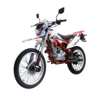 Кроссовый мотоцикл Wels MX 250 R