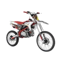 Питбайк WELS RT140e 19/16