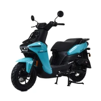 motoland-cricket-wy150-5d