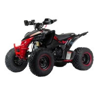 motoland-atv-rally-250cc