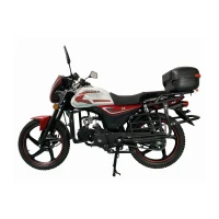 motoland-moped-alfa-rs-lux-11-lm48-b