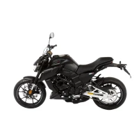 Мотоцикл Regulmoto ALIEN MONSTER 300