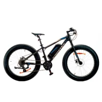 Электровелосипед KROSTEK ECO FAT01 24SPD