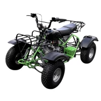 Квадроцикл ИЖ МЕХАНИК (BIGFOOT) (мотокомплект)