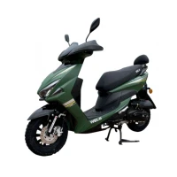 wels-skuter-fs-sport