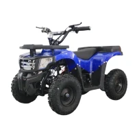 Квадроцикл GreenCamel Гоби K24 (36V 800W R6 Цепь)