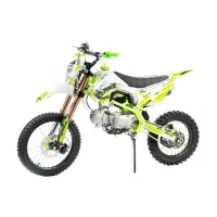 motoland-pitbike-apex125-17-14
