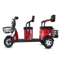 greencamel-tricikl-poni-z8-60v20ah-650w