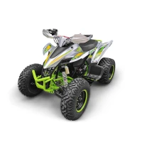 Квадроцикл YACOTA TYPHOON 250 (мотокомплект)