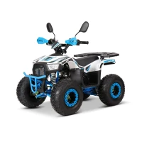 Квадроцикл YACOTA SIRIUS 110 (мотокомплект)