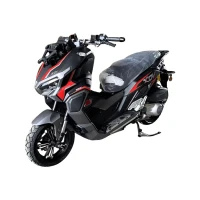 regulmoto-skuter-xdv-pro-300cc-lj300t-18