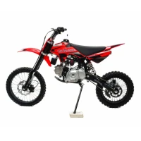 Питбайк Motoland GS Motors S12 17/14 E