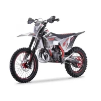 Мотоцикл эндуро ROCKOT GS FIVE Burnout