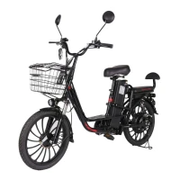 sb-jelektrovelosiped-fiesta-2024