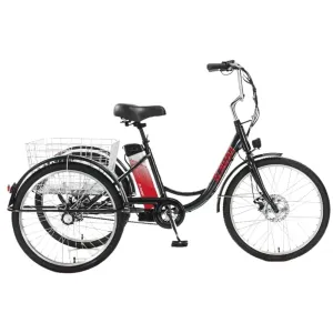 Электровелосипед AVM E-ALFA TRIKE 24