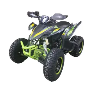 Квадроцикл Racer RC250 Typhoon 250cc (мотокомплект)