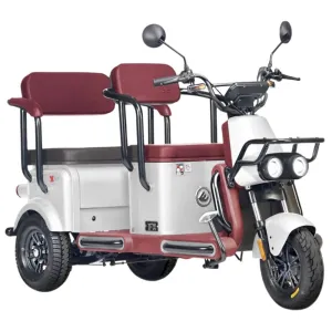 Электротрицикл Wanshida U1-X 60V 800Вт
