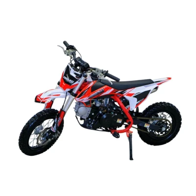 Питбайк PROGASI KIDS POWER 110 10/10