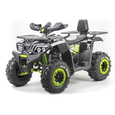 Квадроцикл внедорожный TaoMotor Braves 200cc