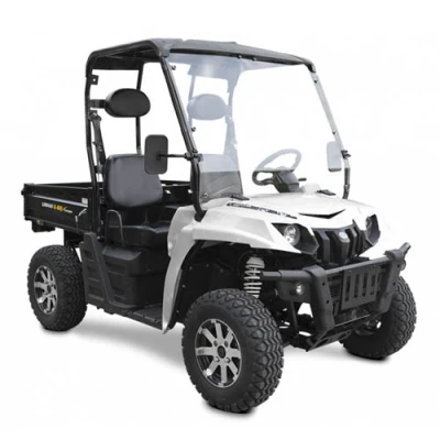 Багги Linhai UTV E-5S Electric 2x4