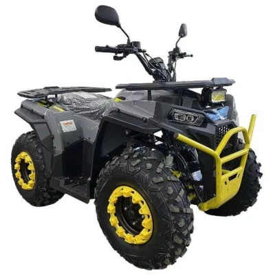 Квадроцикл Regulmoto TBM Thunder 150 (мотокомплект)